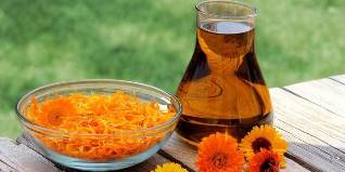 methods of dealing with fungi